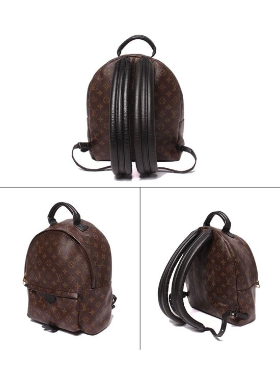 Louis Vuitton Backpack Palm Springs MM Monogram main image 5
